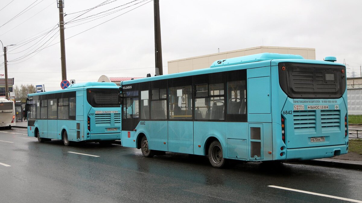    Фото: Maksim Konstantinov/globallookpress.com