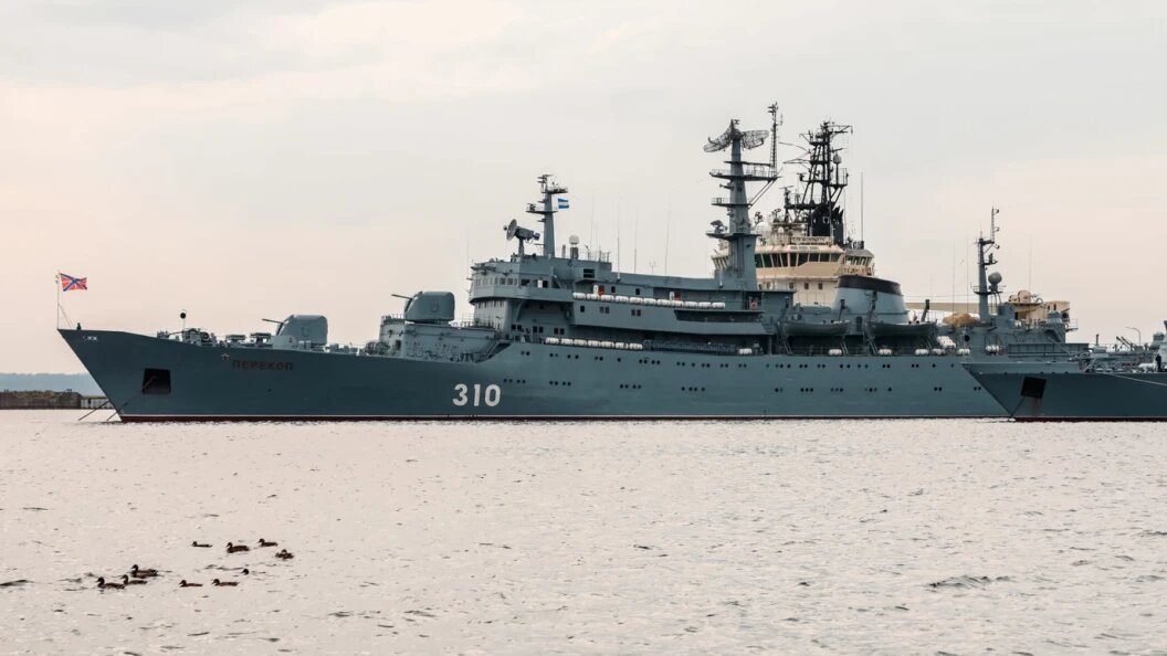    ФОТО: © ROMAN NAUMOV/ GLOBAL LOOK PRESS