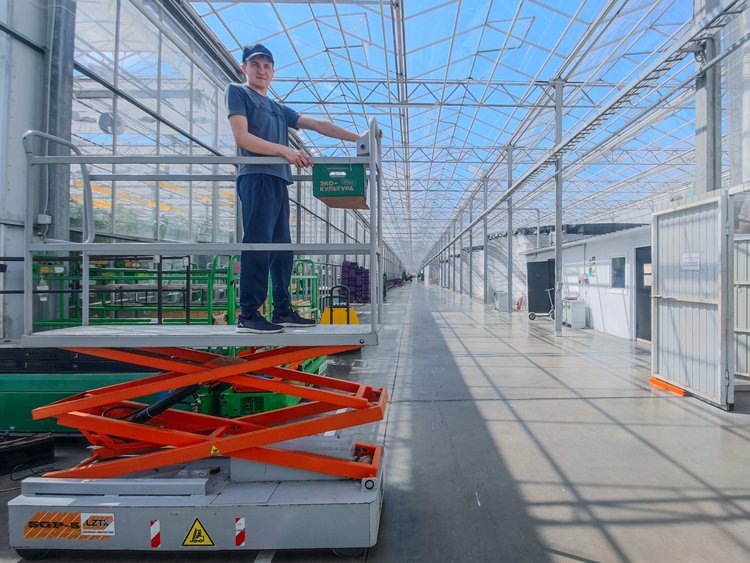    В тепличном комплексе Кабардино-Балкарии стали применять свои разработки для сбора урожая