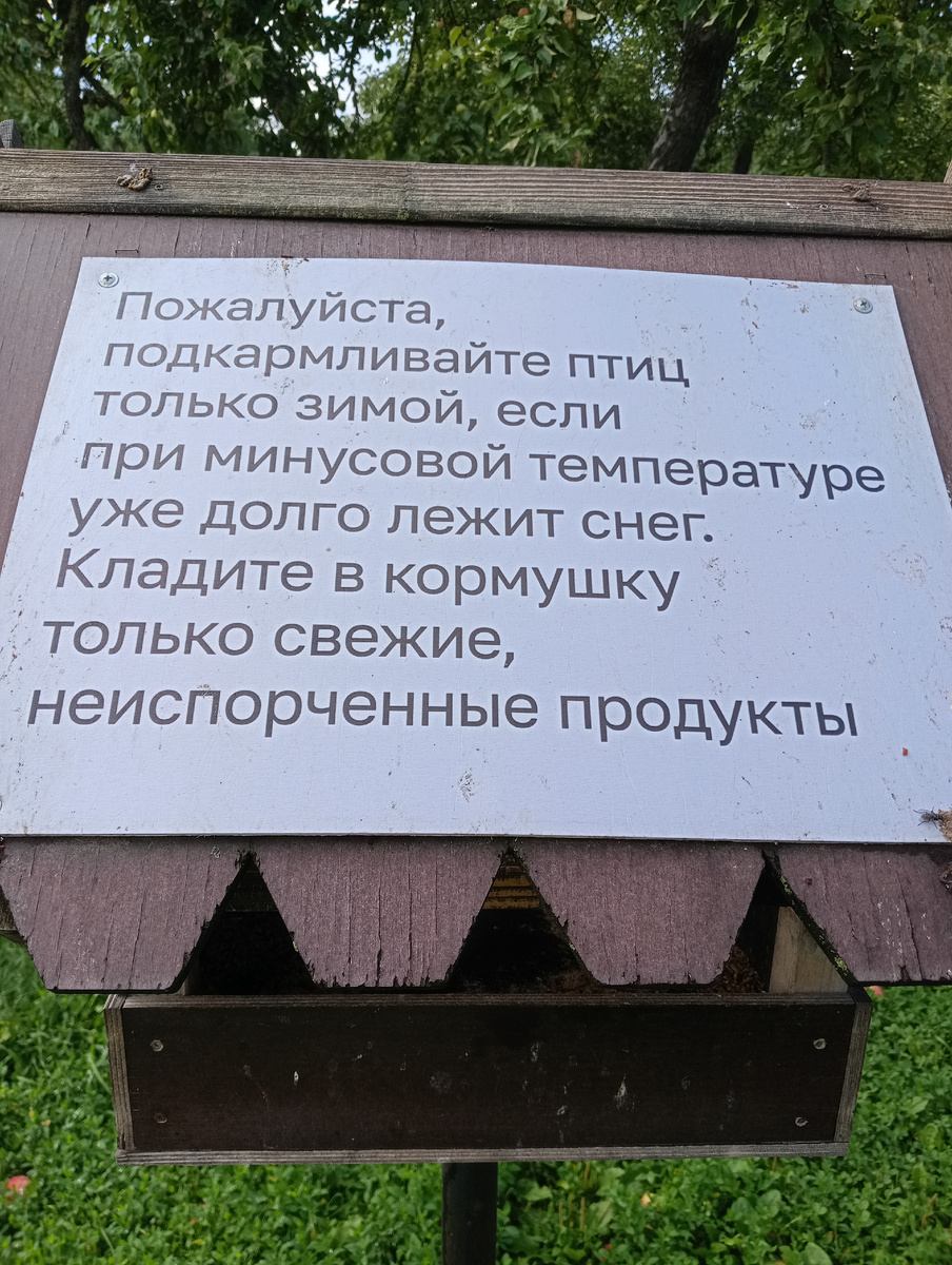 Подкармливайте птиц только зимой свежими неиспорченными продуктами. Коломенский музей заповедник Москва 