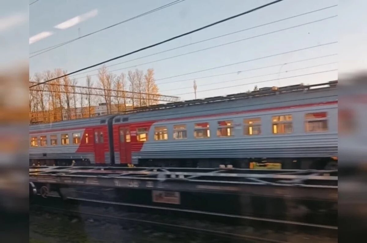    Женщина выжила после того, как её зацепило электричкой под Петербургом