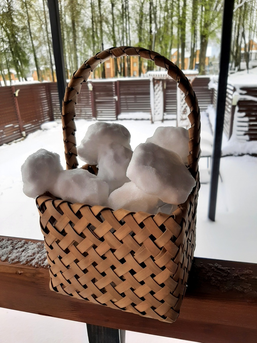 Фото Натальи Мосаловой, Подмосковье