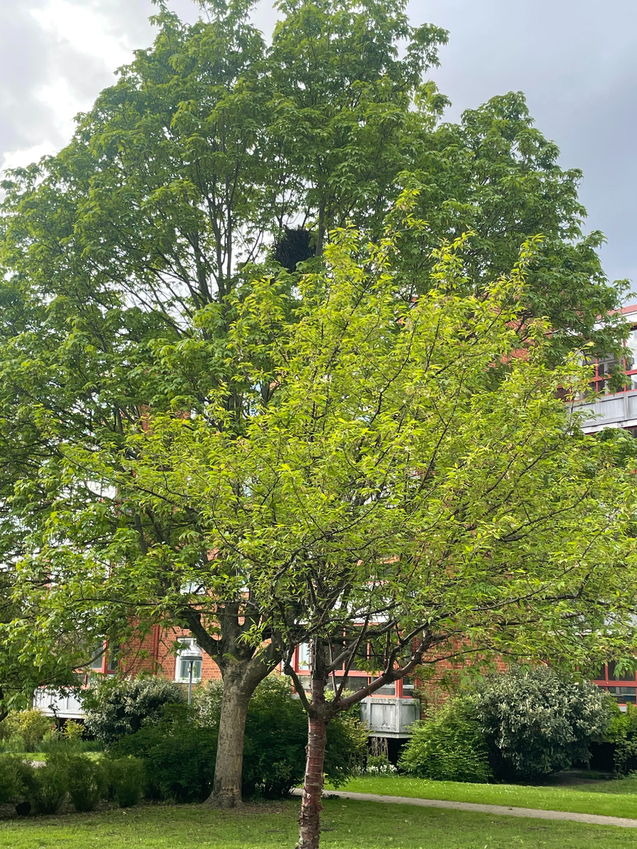 Истории из жизни