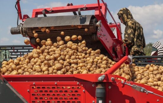 Фото: Яндекс картинки