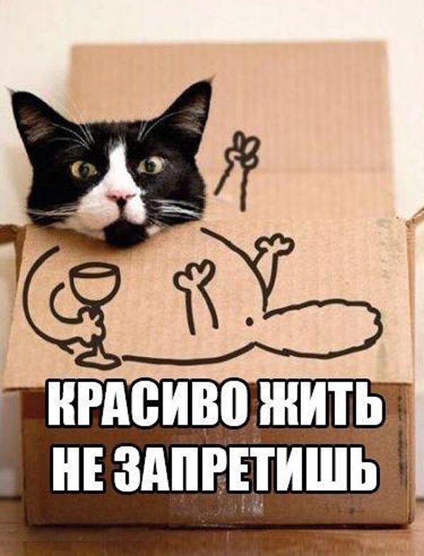 Коробки – наше всё.