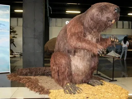 Гигантский бобр