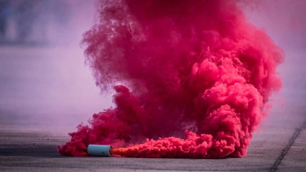    Фото: APChanel/Shutterstock/Fotodom