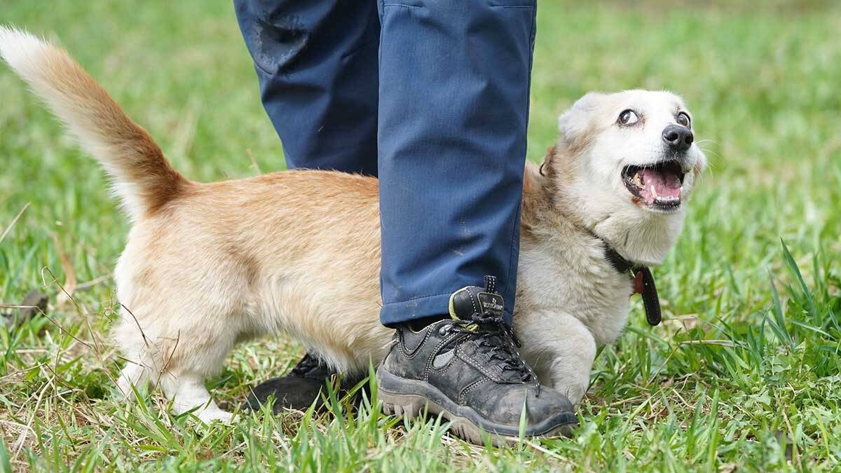    Фото: Пелагия Тихонова / АГН Москва