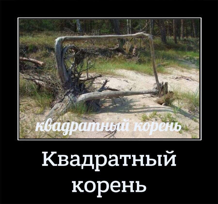 Вот ты какой, квадратный корень... Это шутка