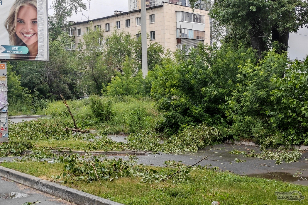    Фото: Лидия Аникина © ИА «Уральский меридиан»