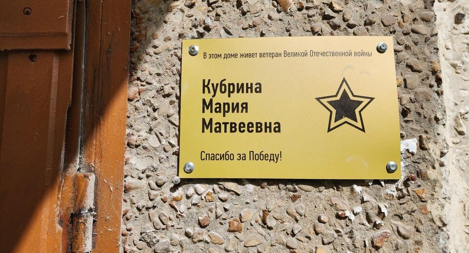    Южный проспект, дом 17, корпус 1 / Ольга Аввакумова