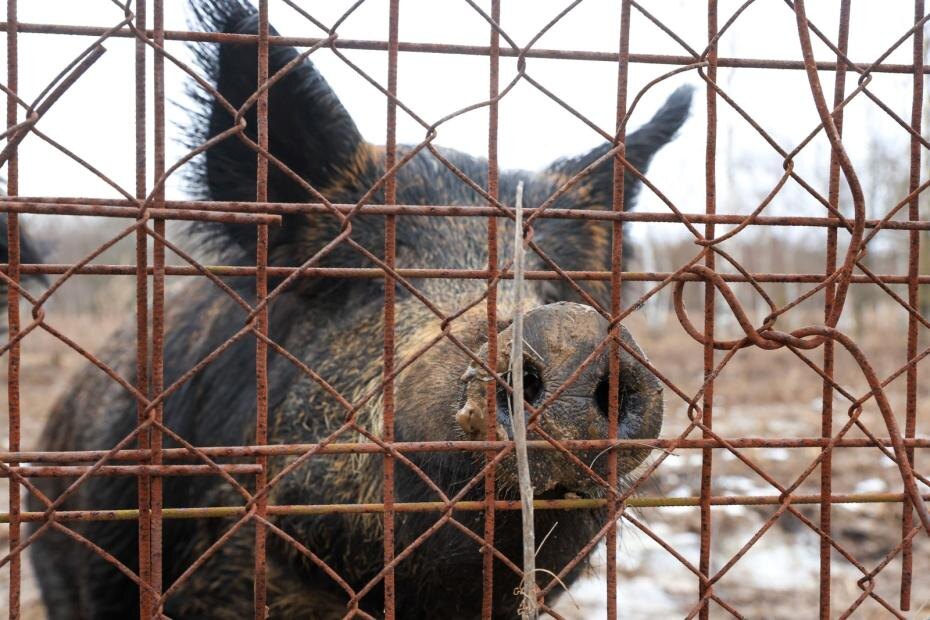    Наталья Шатохина/NEWS.ru