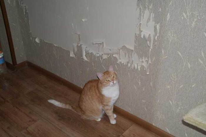 -6