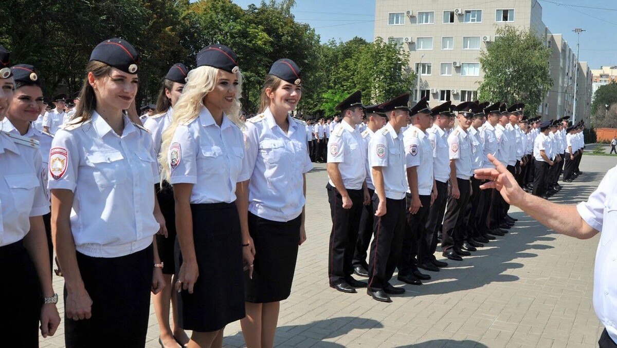     Автор: donland.ru