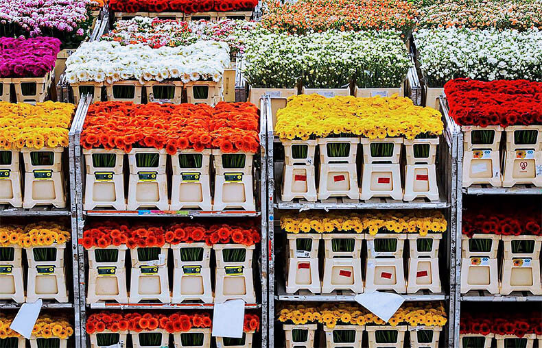 Бережная транспортировка