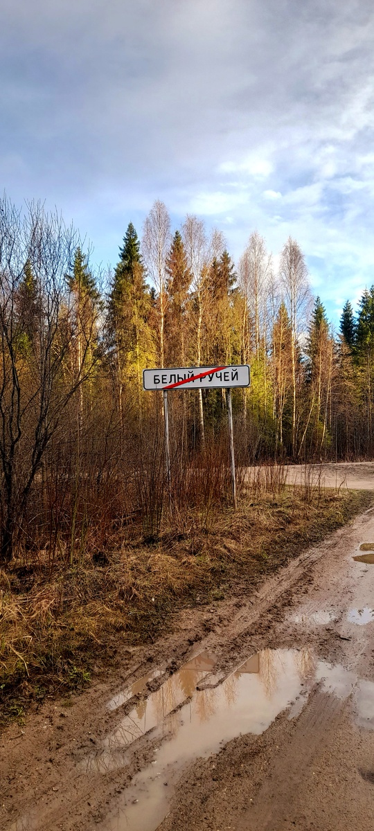 Это я в субботу к родным в деревню ездила!