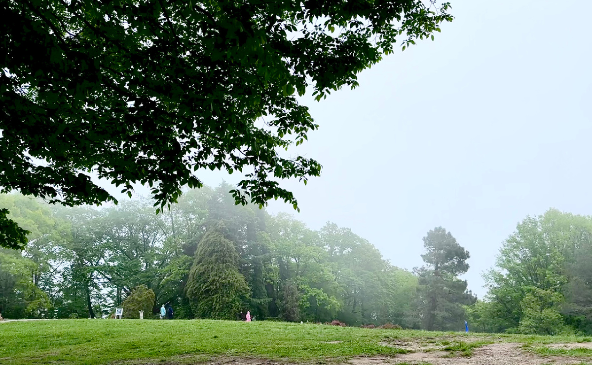 На вершине горы в облаке