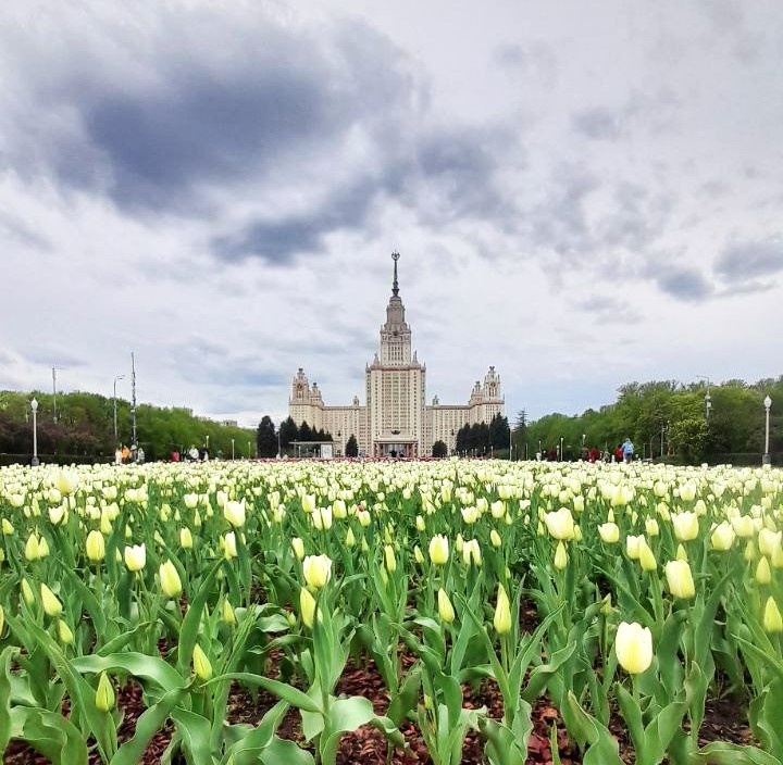 Пешие прогулки по Москве в теплой компании: анонсы в Телеграм-канале t.me/ya_moscow