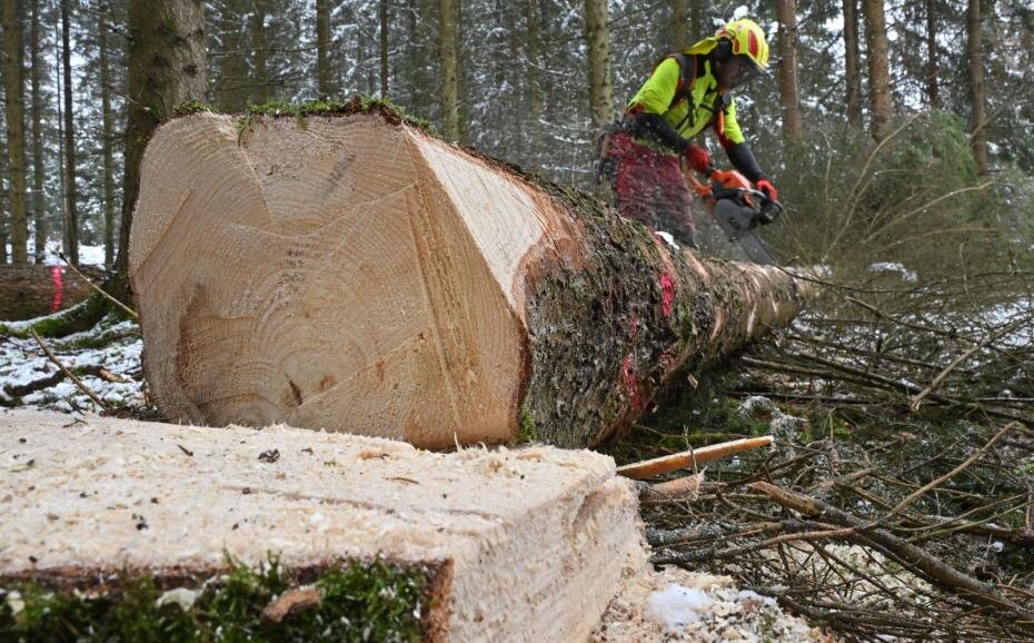    Martin Schutt/dpa/Global Look Press