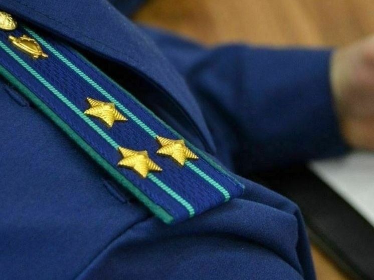     Фото пресс-службы прокуратуры Липецкой области