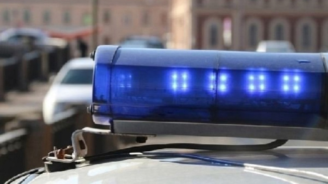 Фото: ГУ Росгвардии по Петербургу и Ленобласти