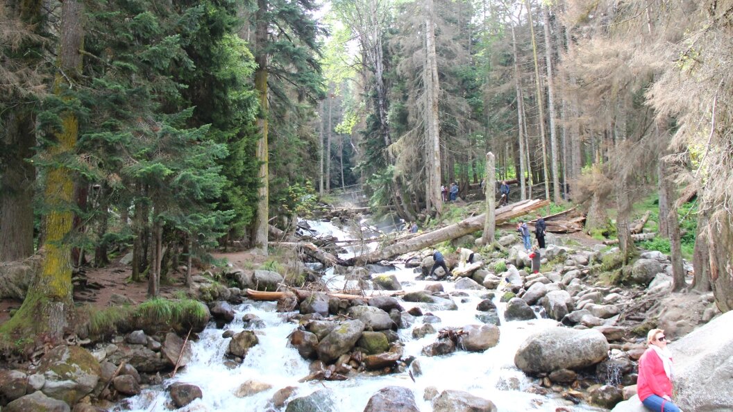    ФОТО: ОЛЕГ РУКАВИЦЫН/ЦАРЬГРАД