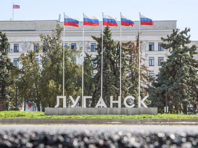    Фото: ТАСС/Александр Река