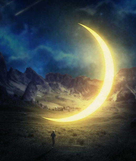 картинки Яндекс