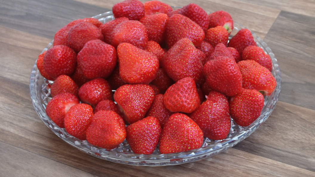    Фото: Victor Lisitsyn/Global Look Press