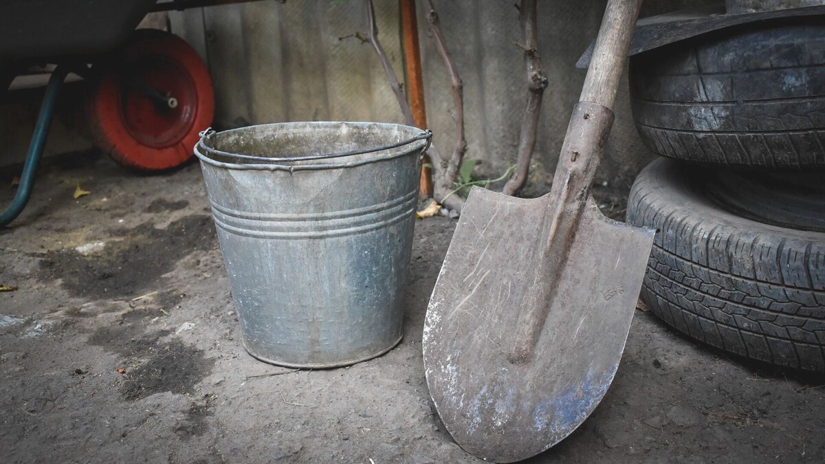     Источник: 1MI