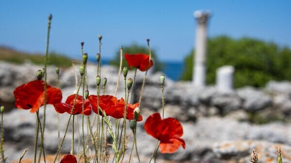    © РИА Новости Крым