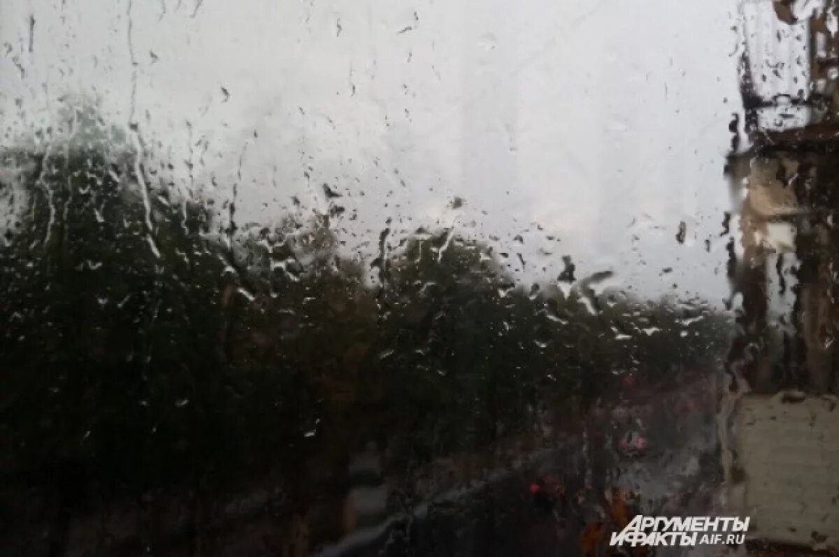    Холодный фронт принесёт в Пермский край дожди и грозы