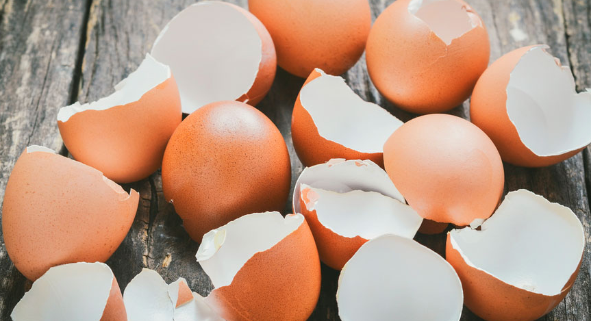 Яичная скорлупа