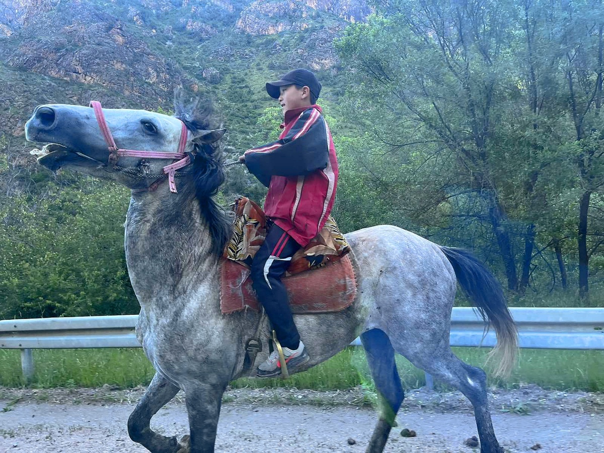 Первый герой на нашей дороге- мальчонка-пастух