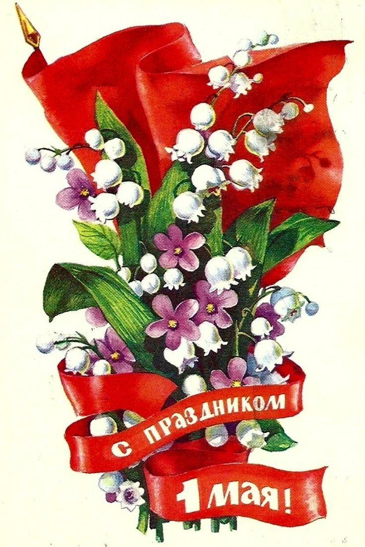 Фото из интернета 