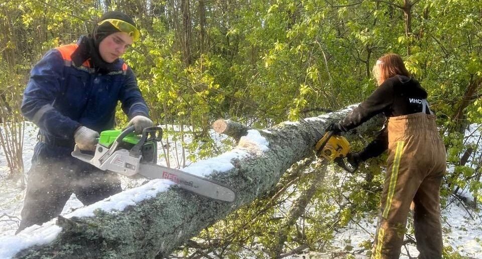    Министерство образования МО