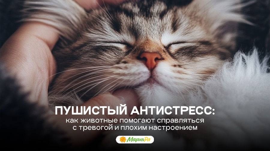 #КлубДомашнихЖивотныхМарияРа