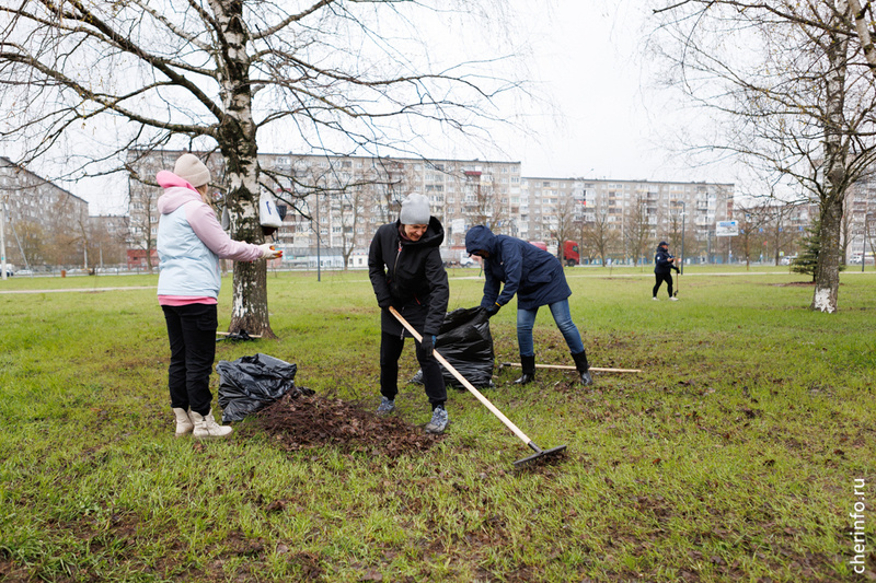    Череповчане убрали листву и мусор. Инвентарь предоставил "Спецавтотранс".