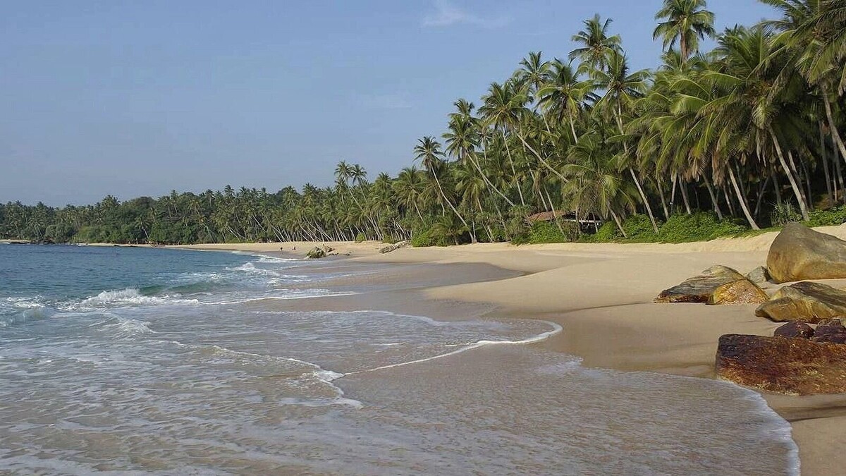     Автор: KubanPress