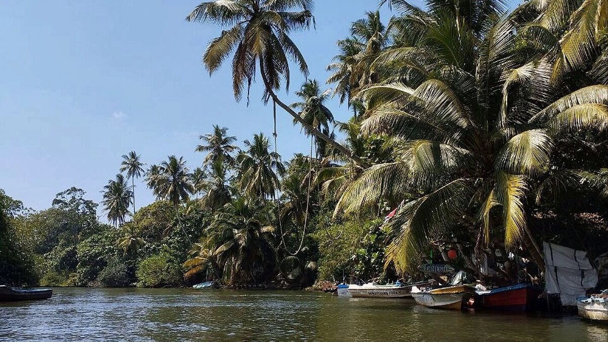     Автор: KubanPress