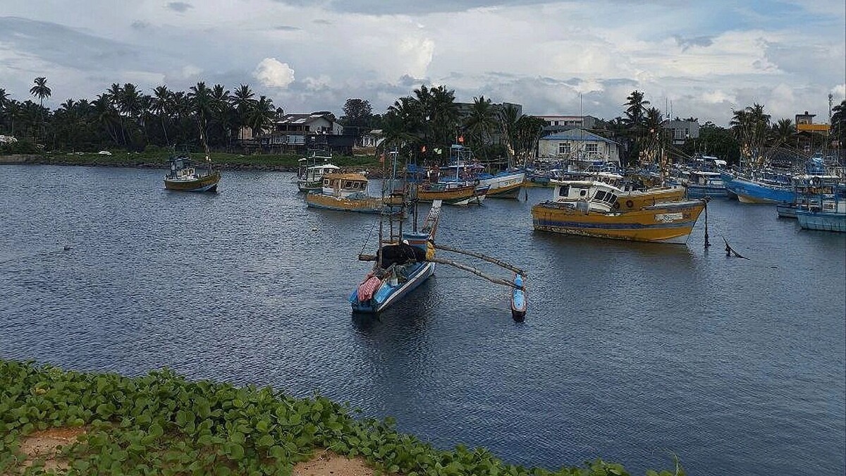     Автор: KubanPress