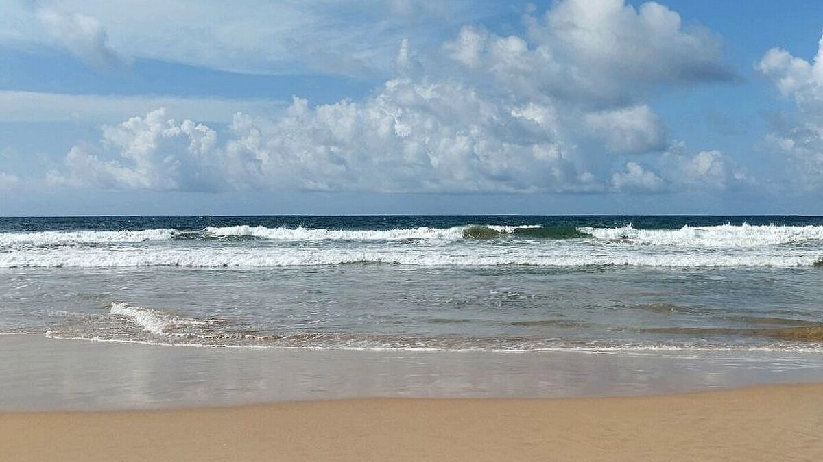     Автор: KubanPress