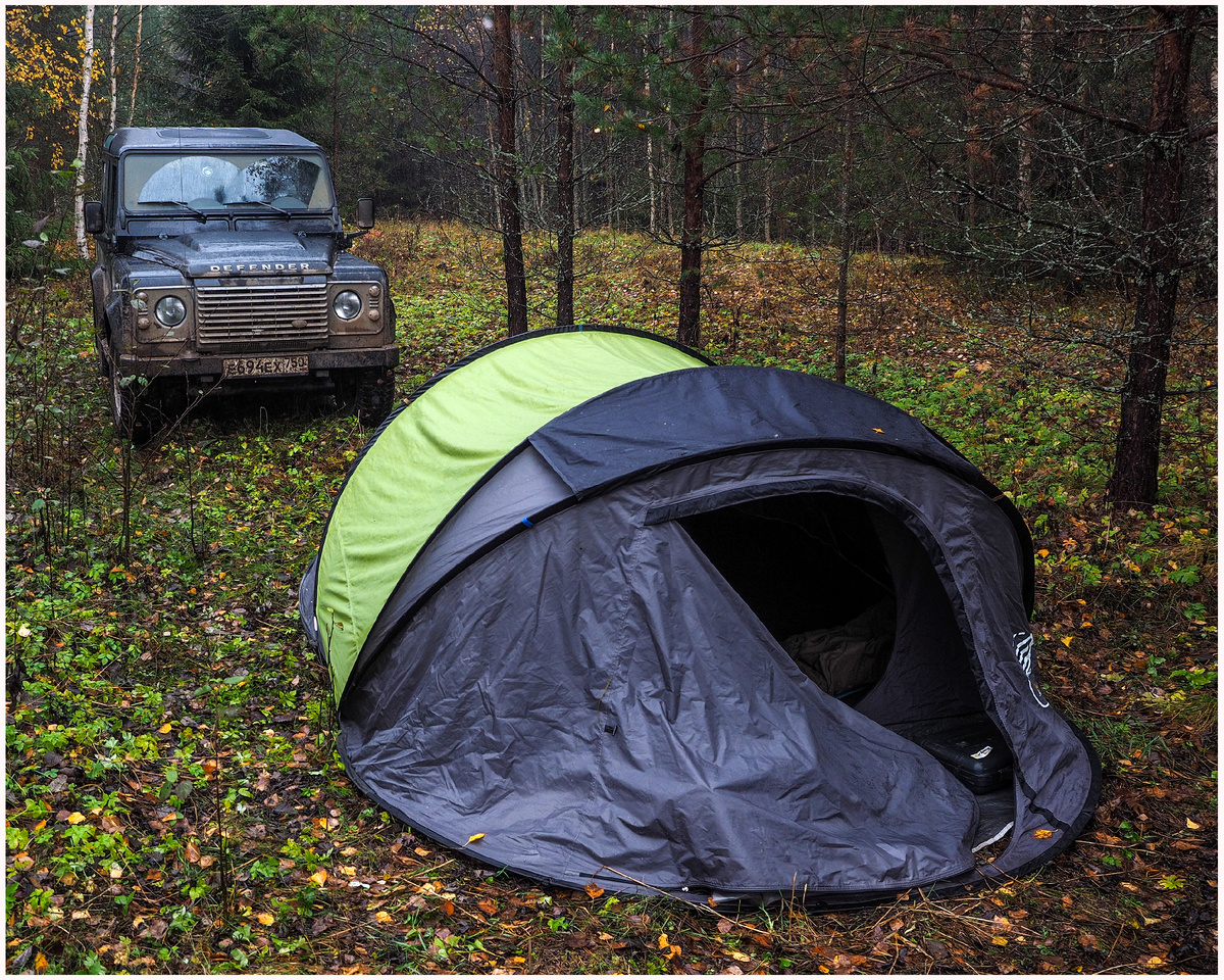 Фото: М. Рябинин