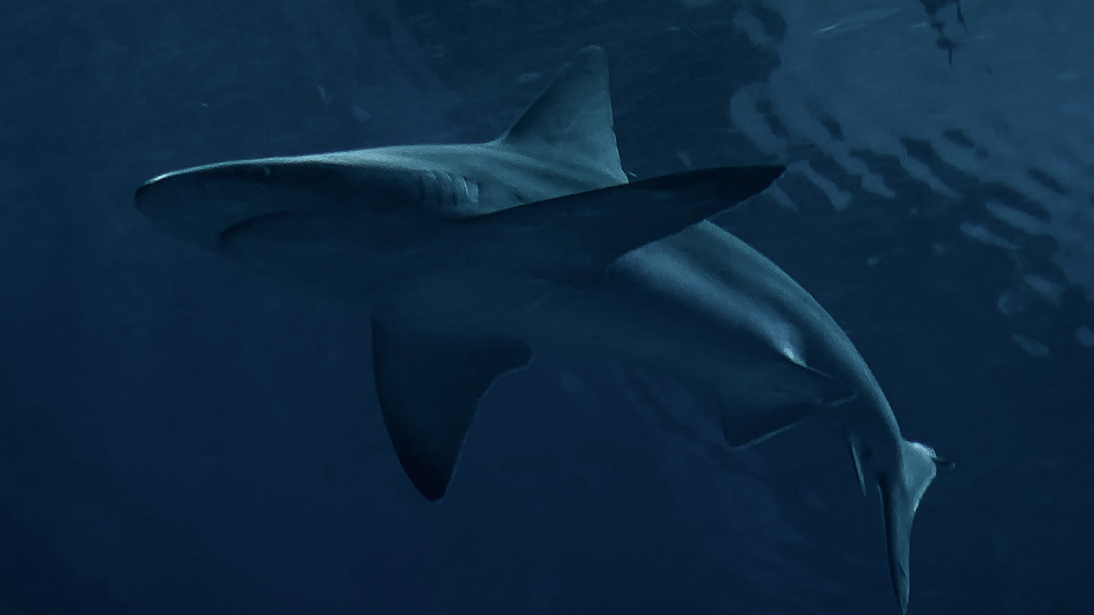    Фото: vm.ru Георгий