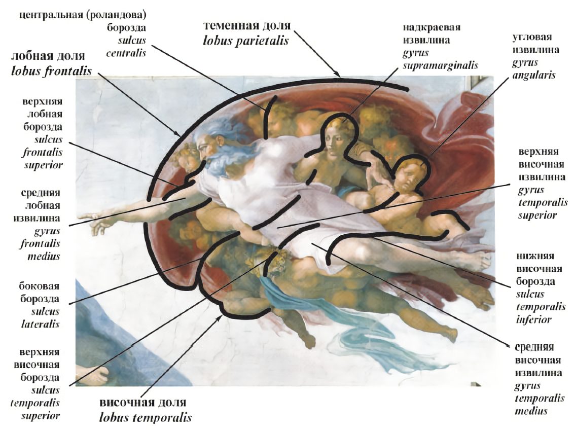 Вера и здоровье: когда молитва меняет тело изнутри.