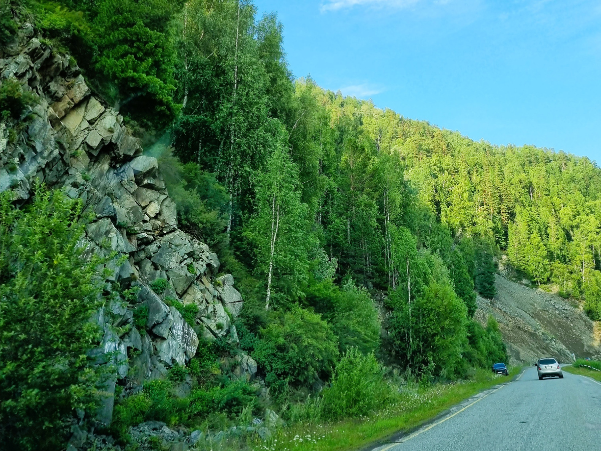Дорога в горах Алтая. Личное фото