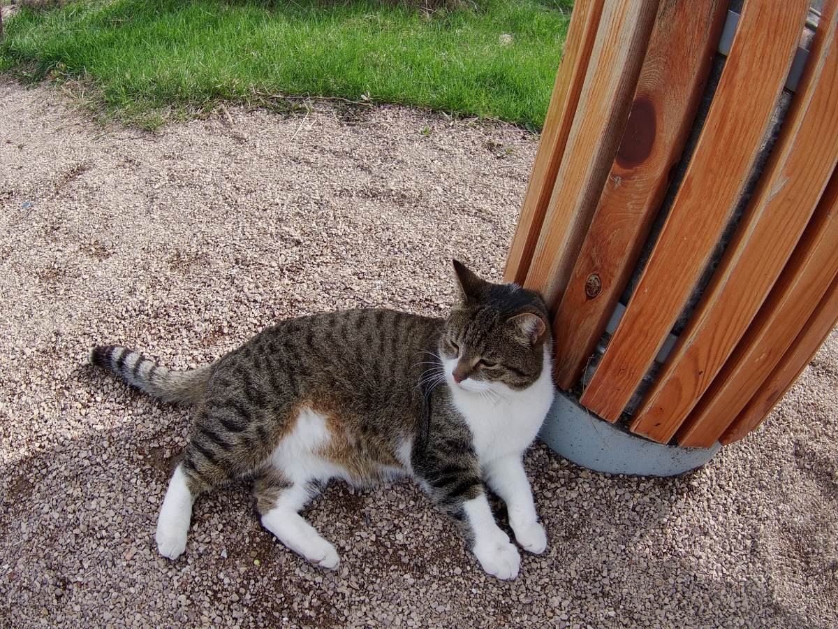 Обидно, когда ты царь, а тебя просто называют Борисом. Фото автора. 