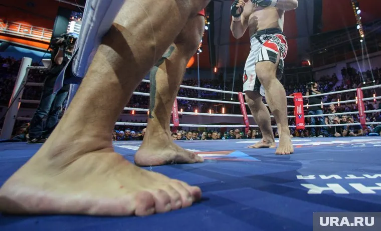 Болельщики бросились разнимать бойцов, после чего завязалась массовая драка
Фото: Владимир Жабриков © URA.RU (фото из архива)