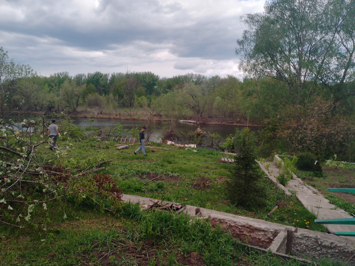 иностранные специалисты при деле