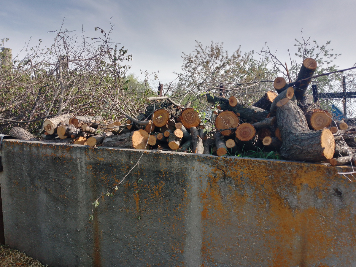 Прощайте яблоньки(
